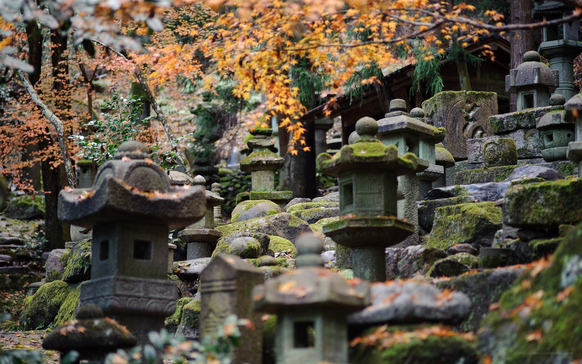 Autumn garden with stone lanterns