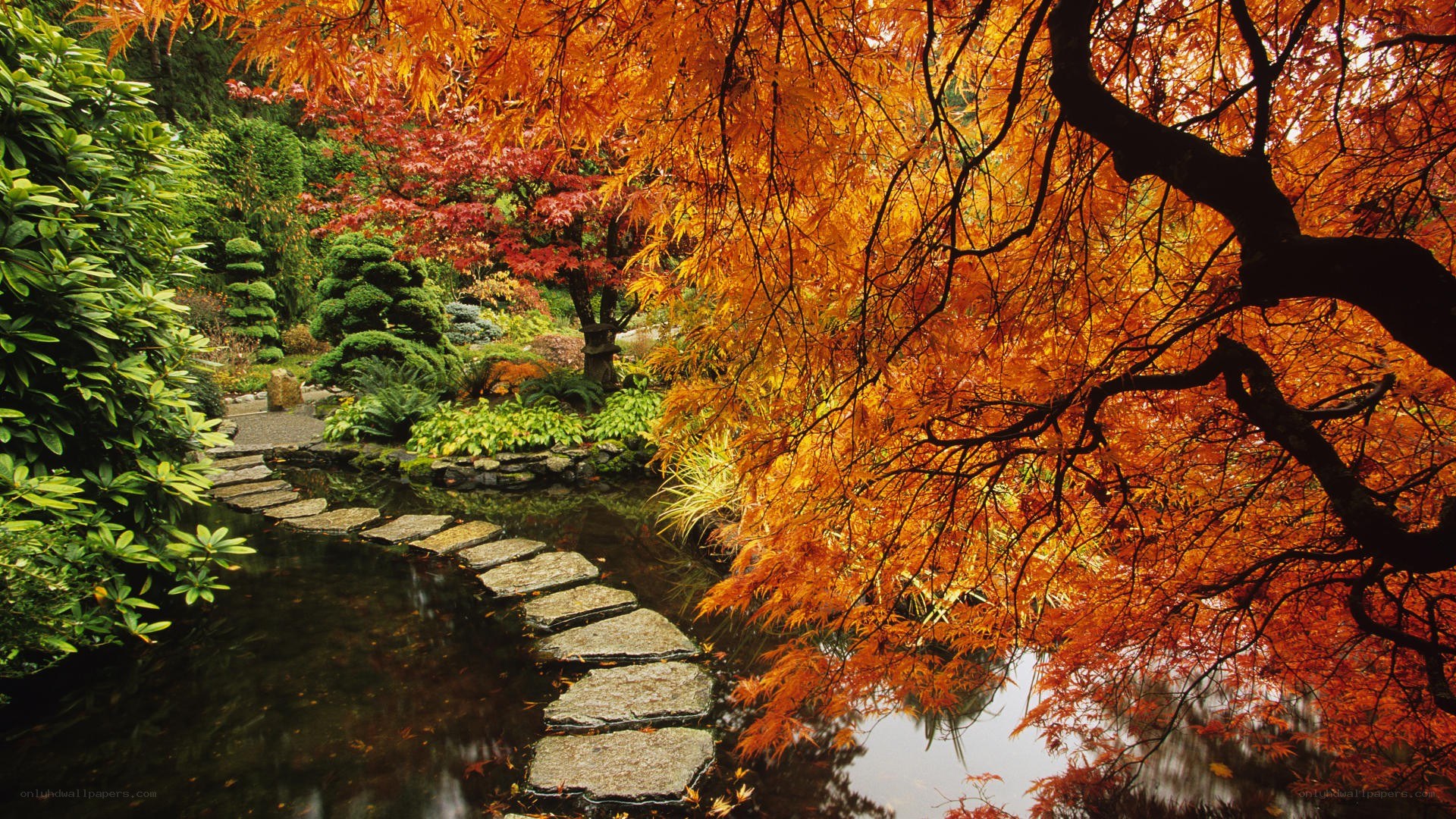 Autumn garden with stone path