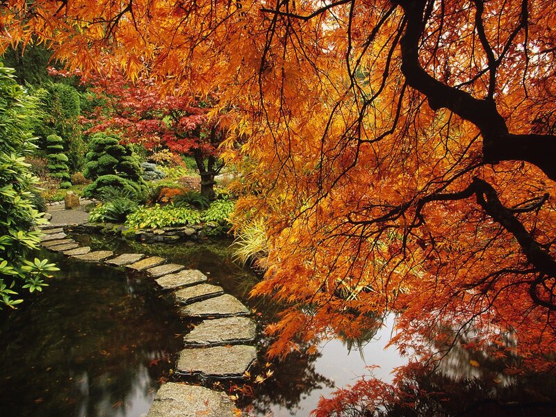 Autumn garden with stone path