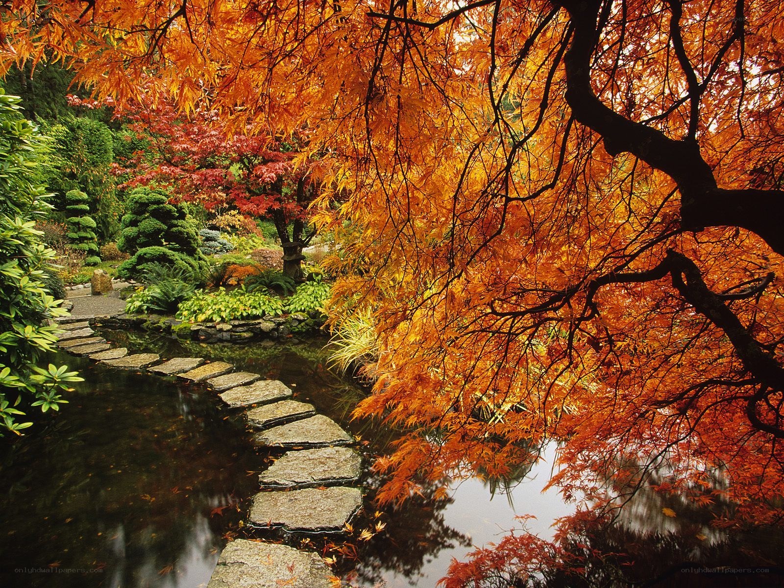 Autumn garden with stone path