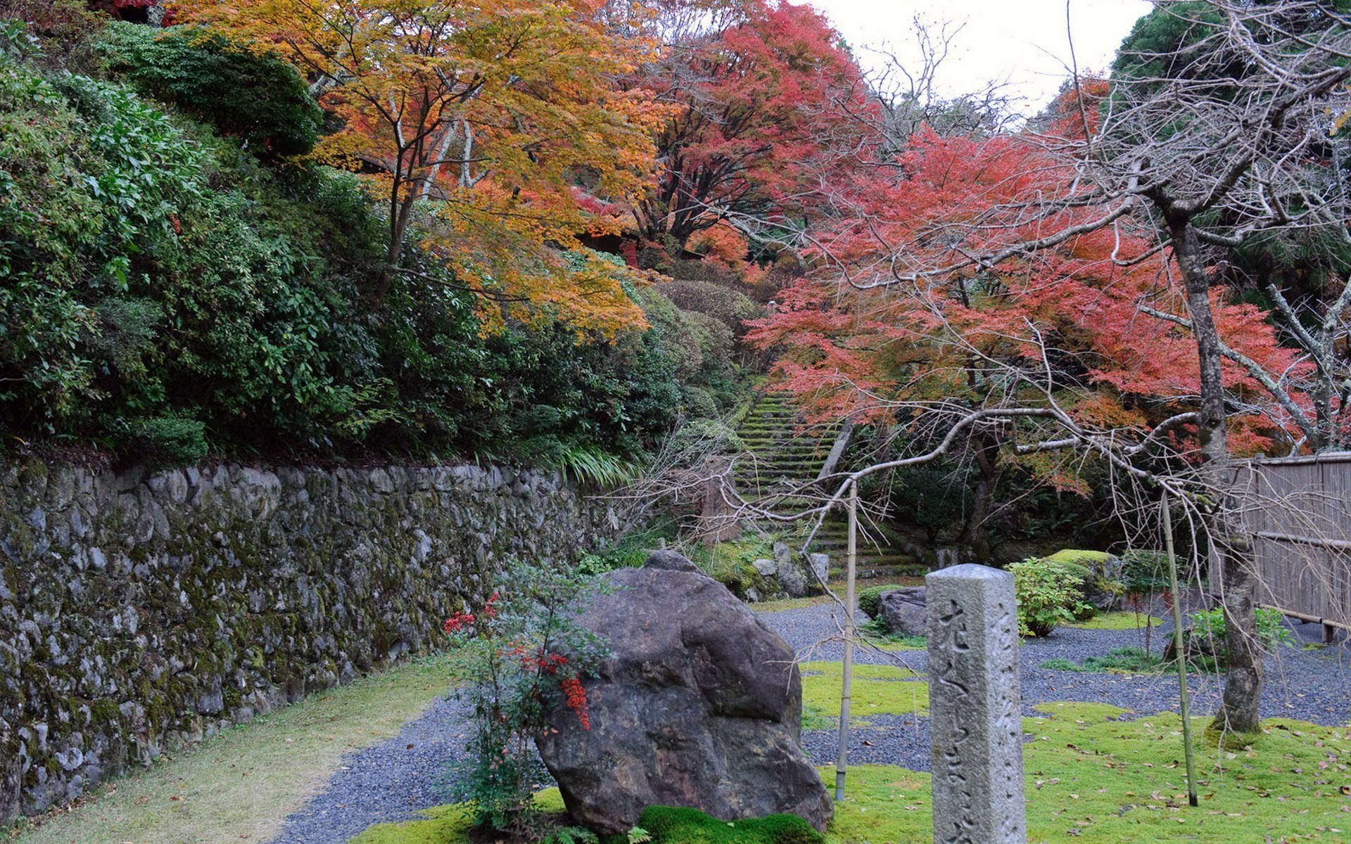 Autumn garden with stone steps