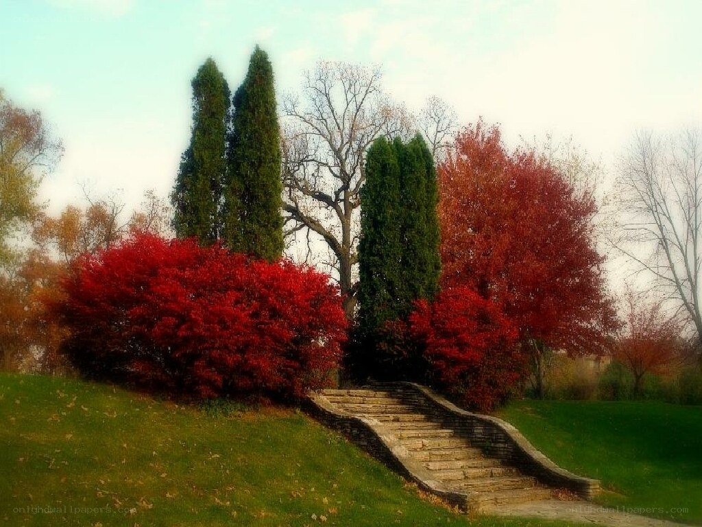 Autumn garden with stone steps