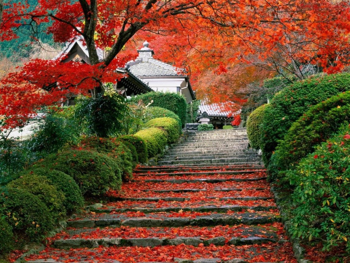 Autumn garden with stone steps