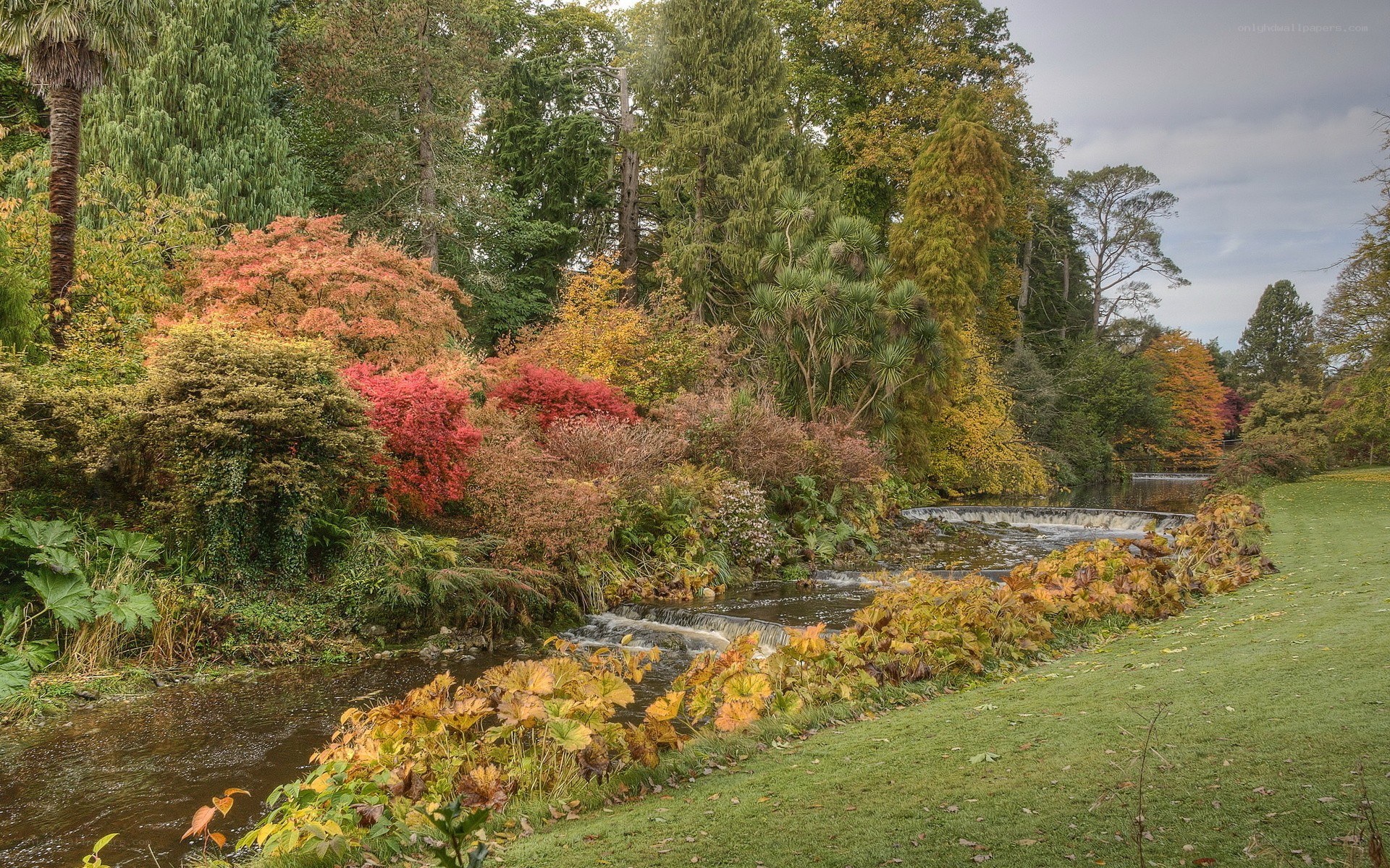 Autumn garden with stream