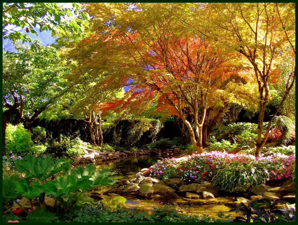 Autumn garden with stream