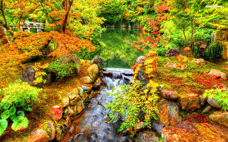 Autumn Garden with Stream — Green