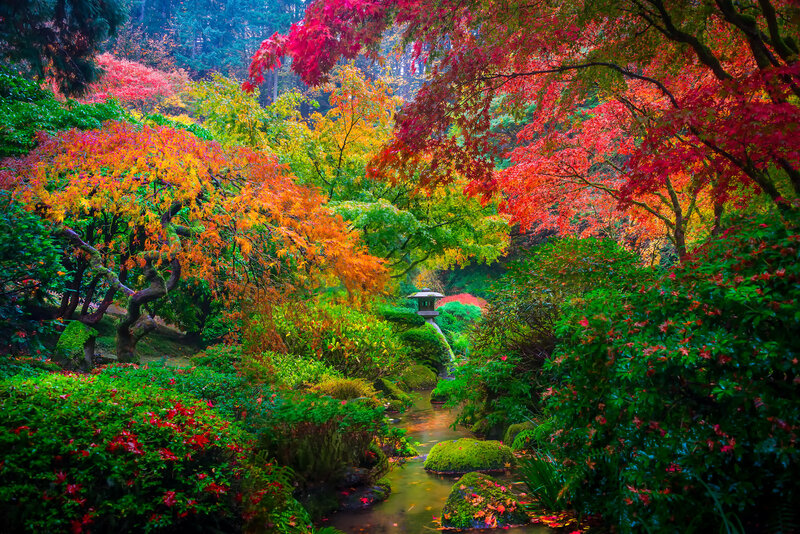 Autumn Garden with Stream — Red