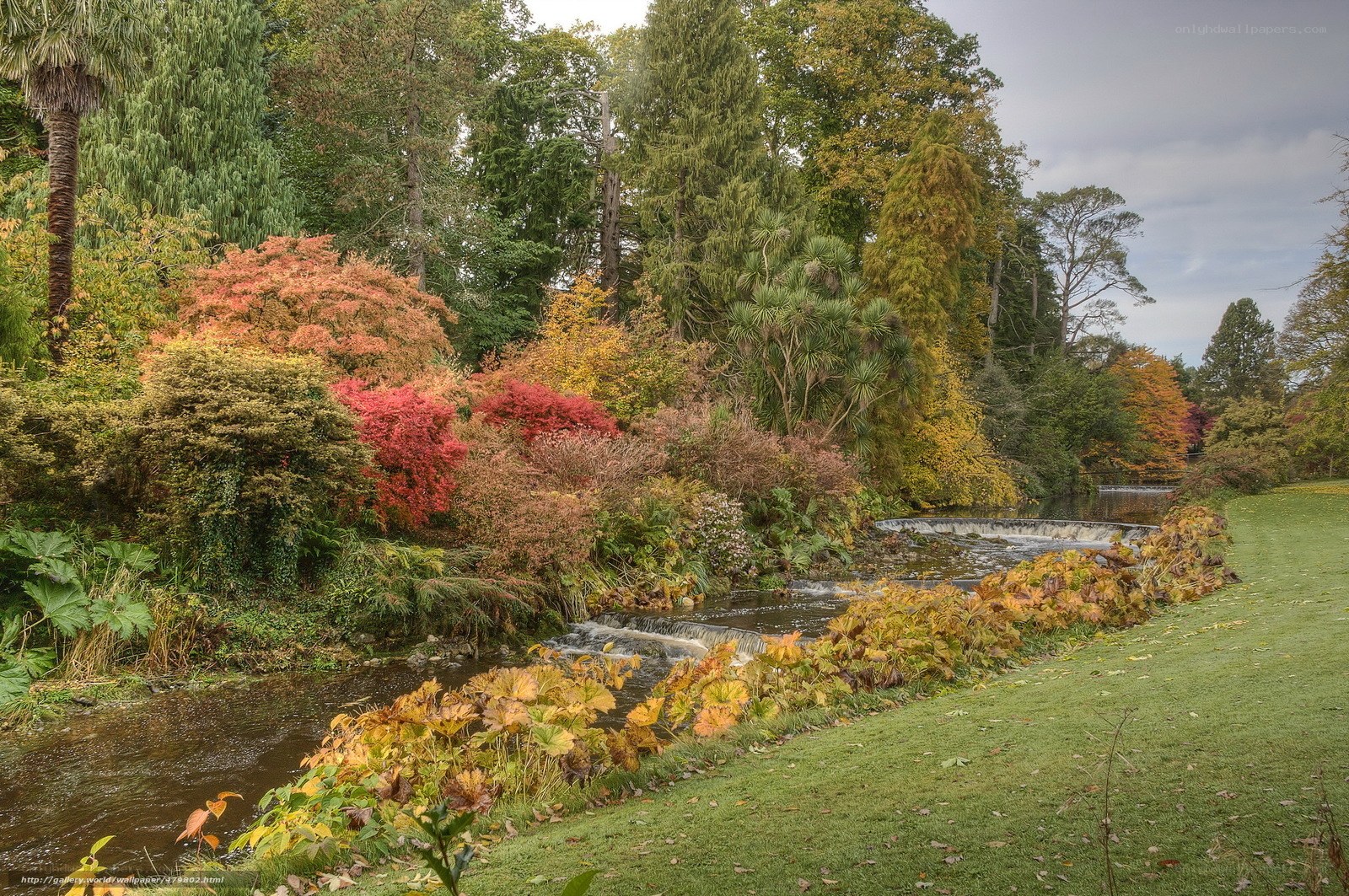 Autumn garden with stream