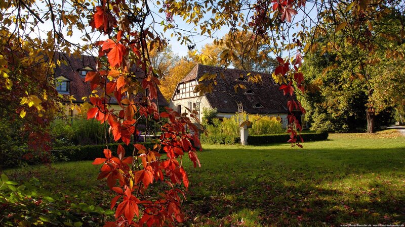 Autumn garden with traditional house