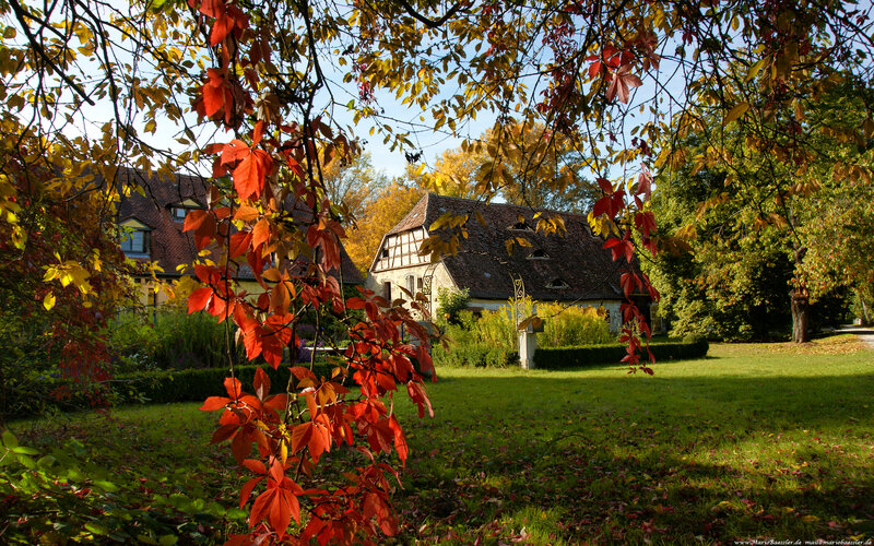 Autumn garden with traditional houses
