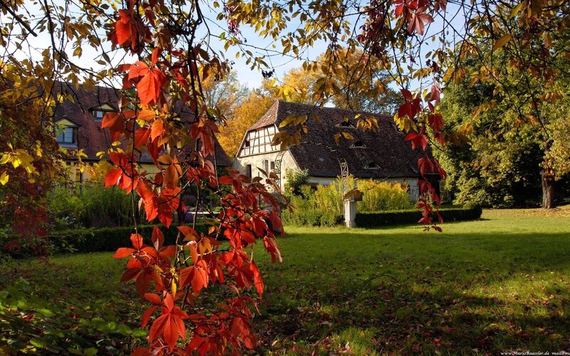 Autumn garden with traditional houses