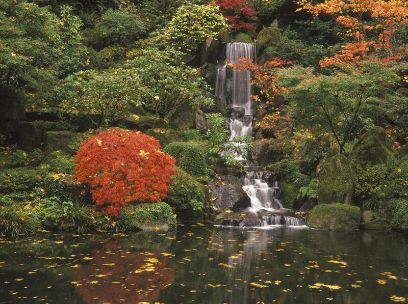 Autumn garden with waterfall