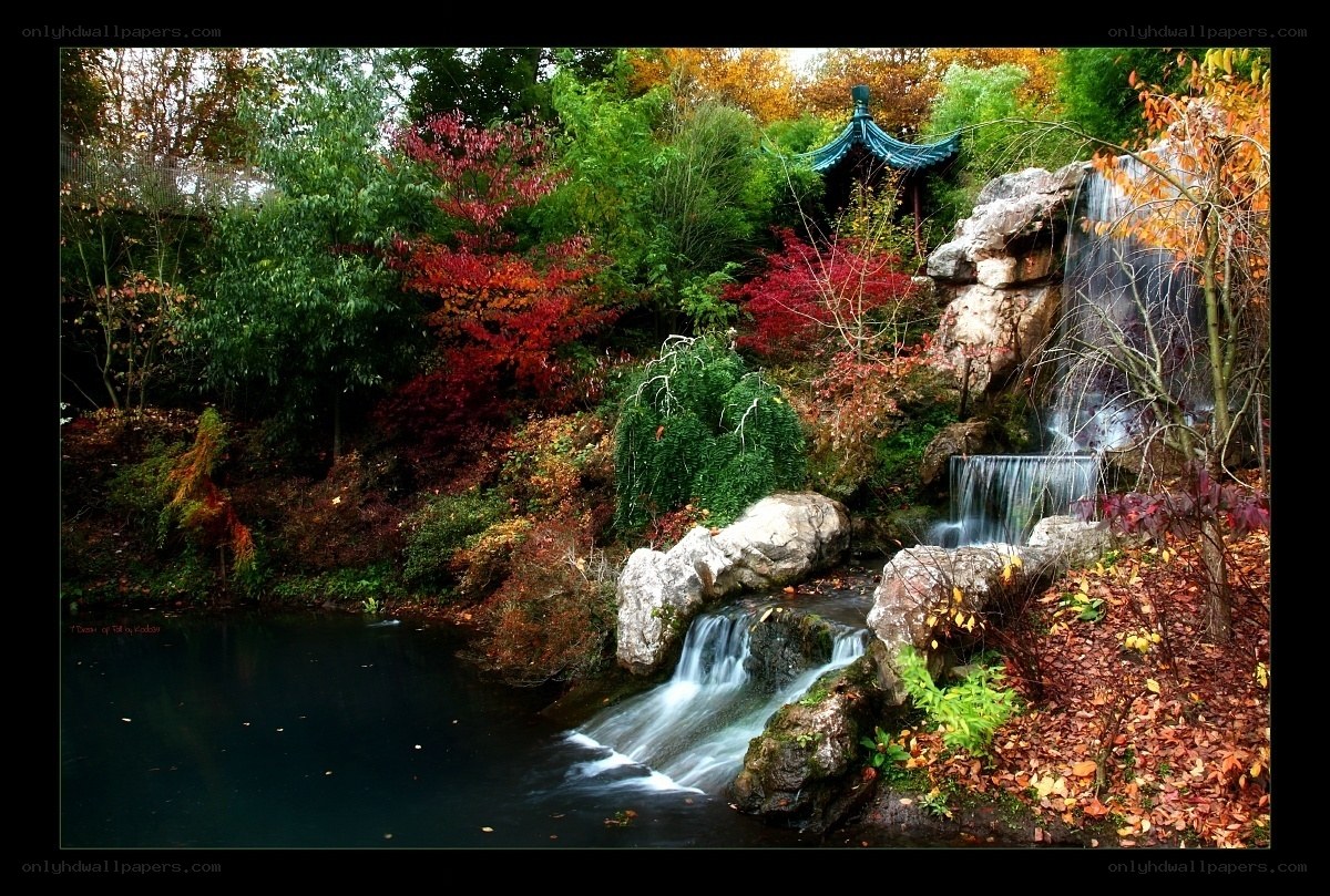 Autumn garden with waterfall