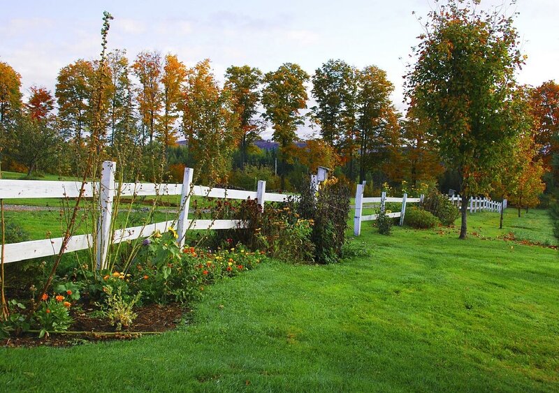Autumn garden with white fence