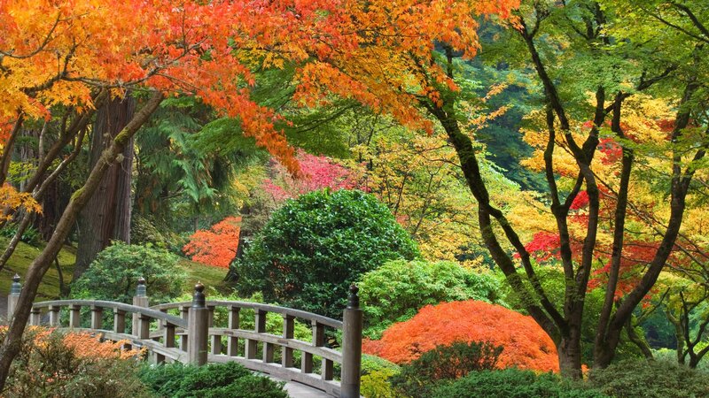 Autumn garden with wooden bridge
