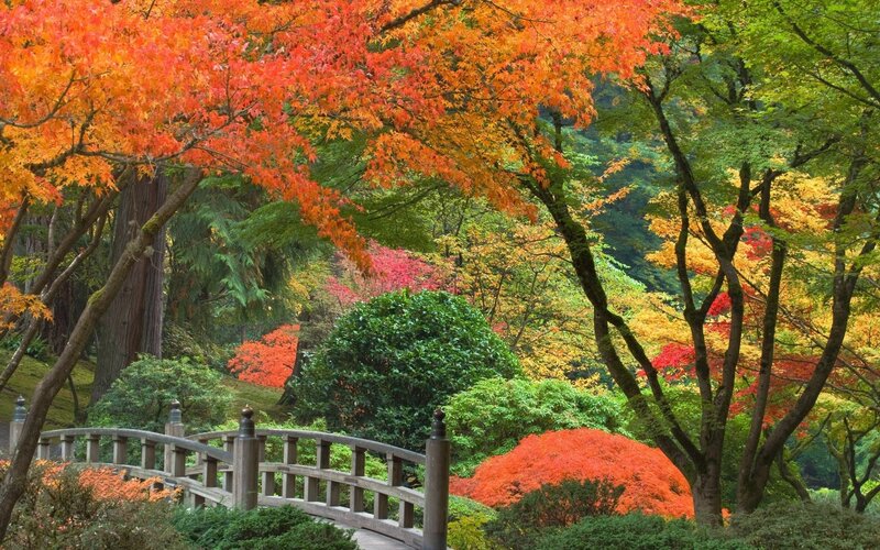 Autumn garden with wooden bridge