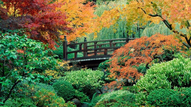 Autumn garden with wooden bridge