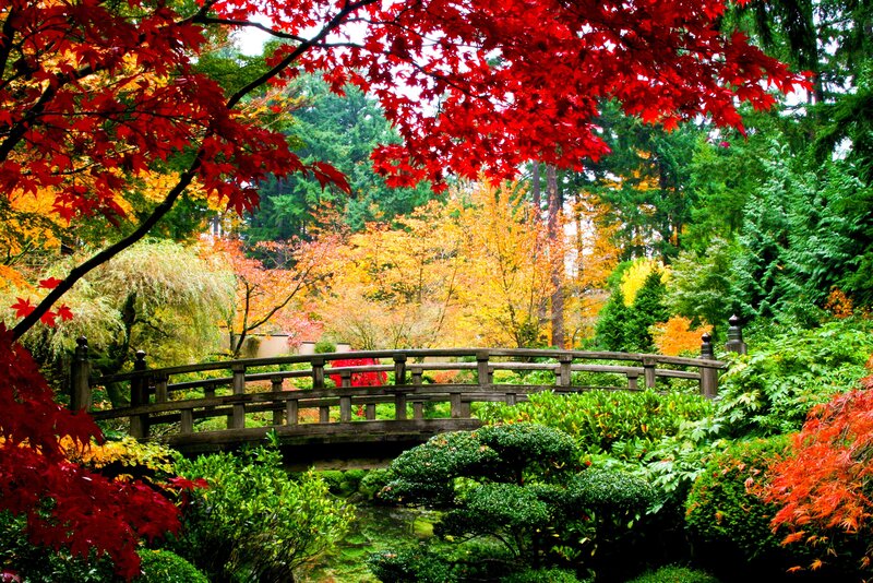 Autumn garden with wooden bridge
