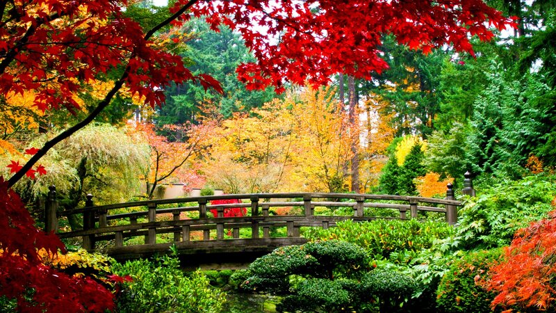 Autumn garden with wooden bridge