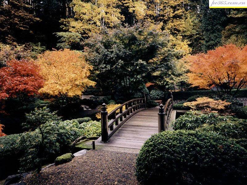 Autumn garden with wooden bridge