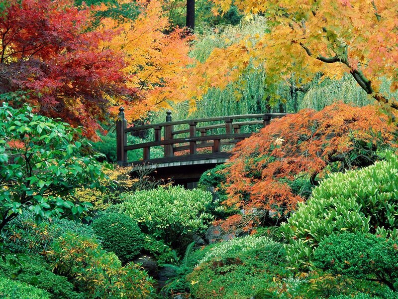 Autumn garden with wooden bridge