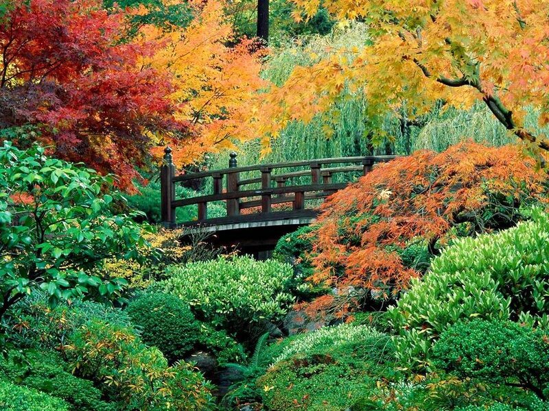 Autumn garden with wooden bridge
