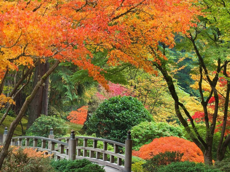 Autumn garden with wooden bridge