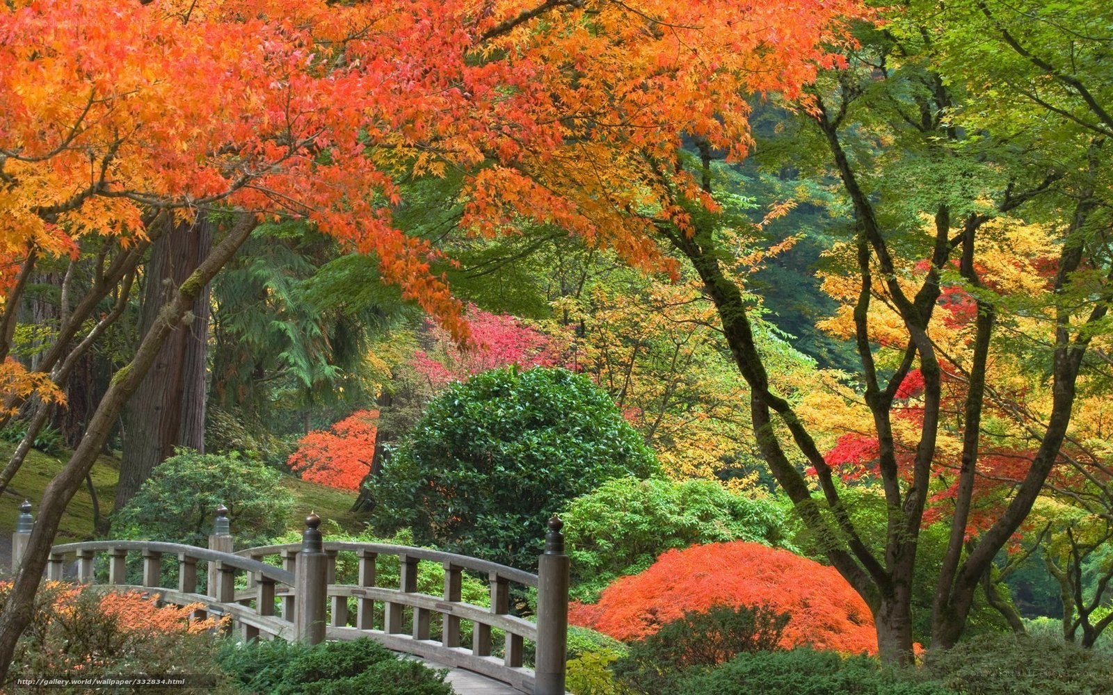 Autumn garden with wooden bridge