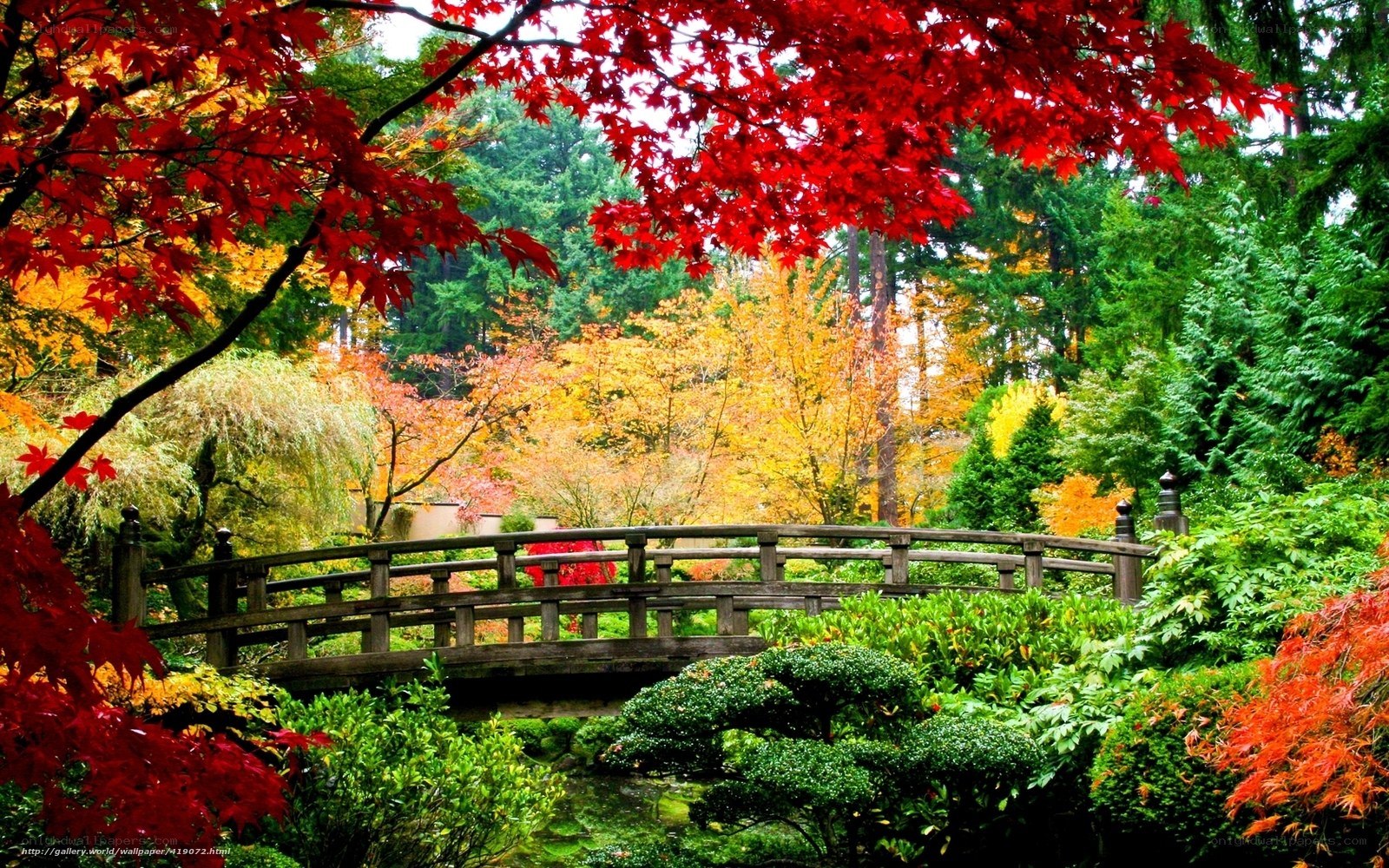Autumn garden with wooden bridge