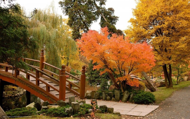 Autumn garden with wooden bridge