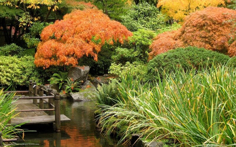 Autumn garden with wooden bridge