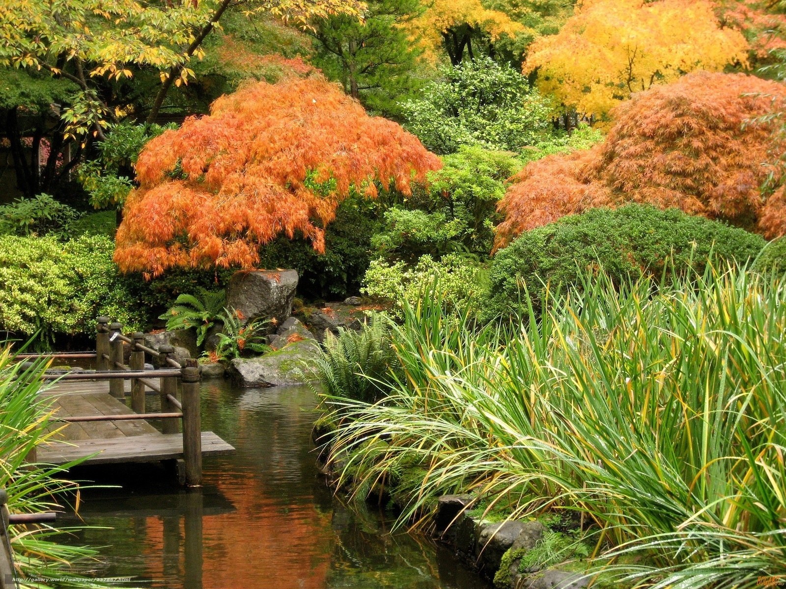 Autumn garden with wooden bridge
