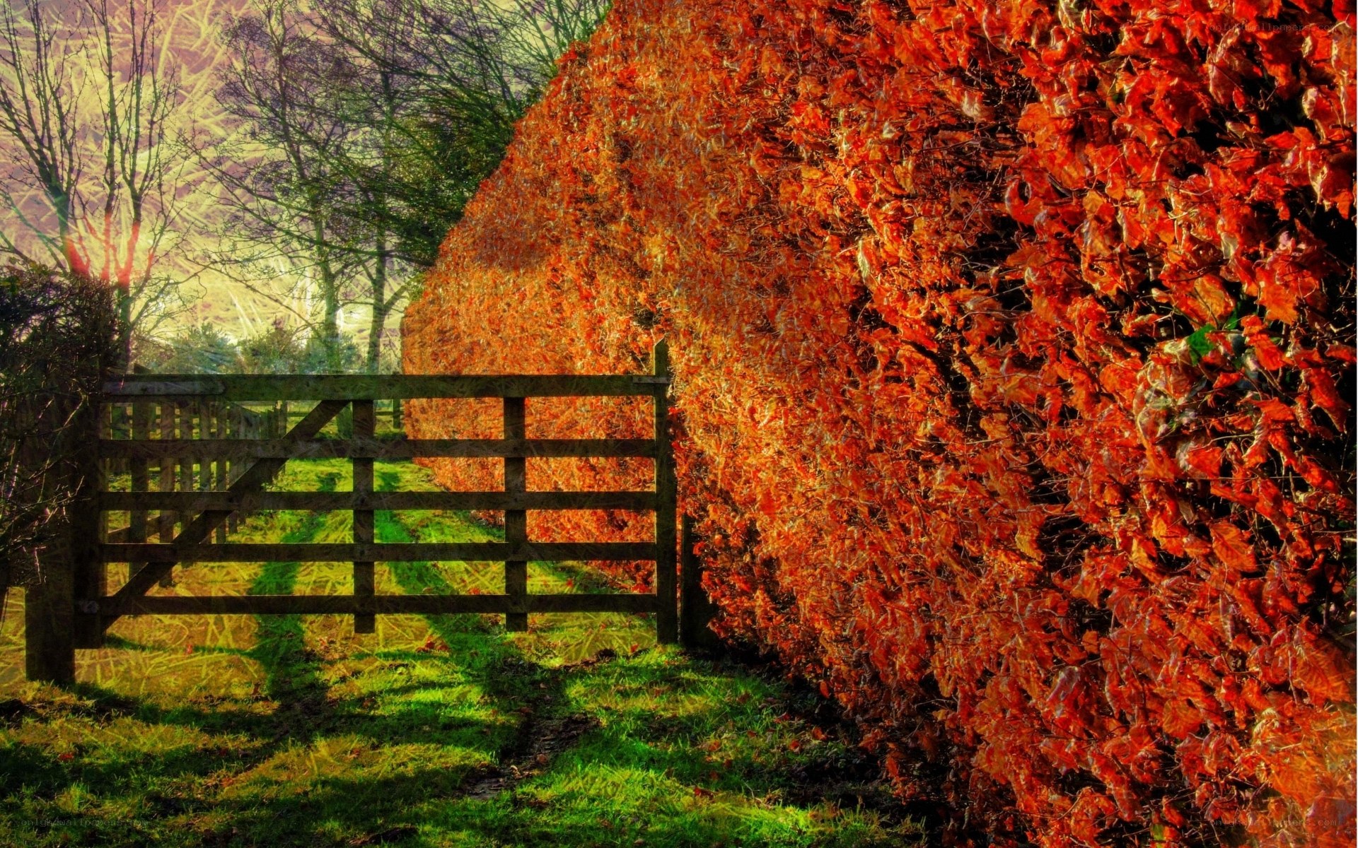 Autumn gate with red foliage
