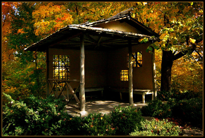 Autumn gazebo in forest