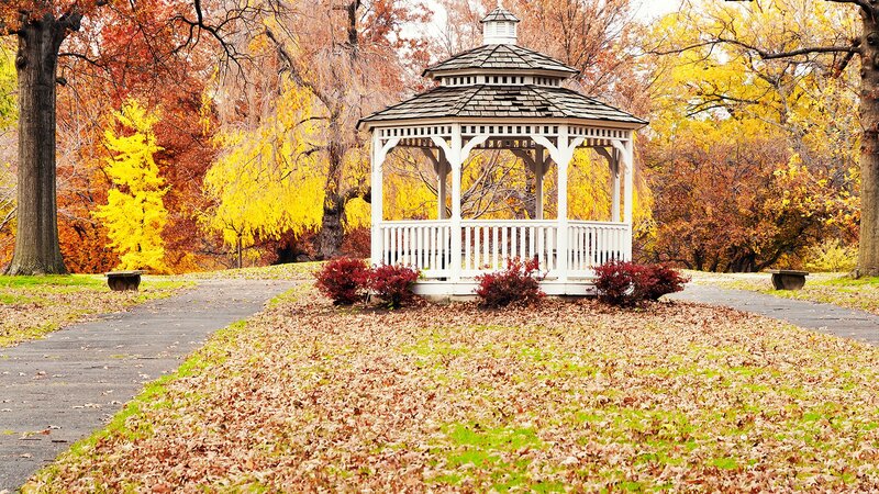 Autumn gazebo in park