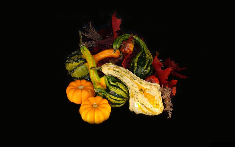 Autumn gourds and leaves