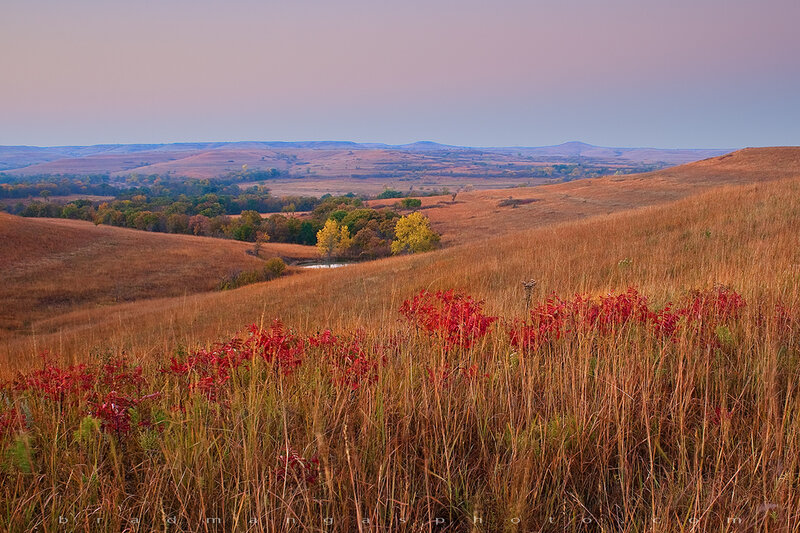 Autumn Grassland Landscape