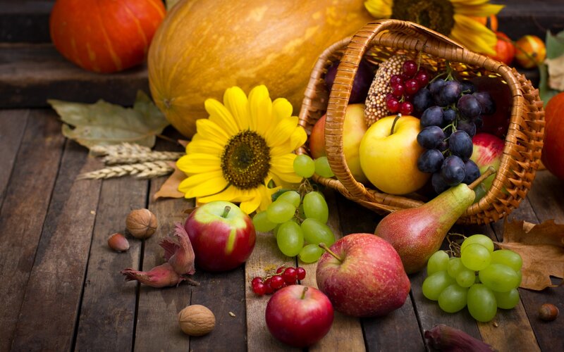 Autumn Harvest Arrangement — Brown, Photograph, Pumpkin, Sunflower