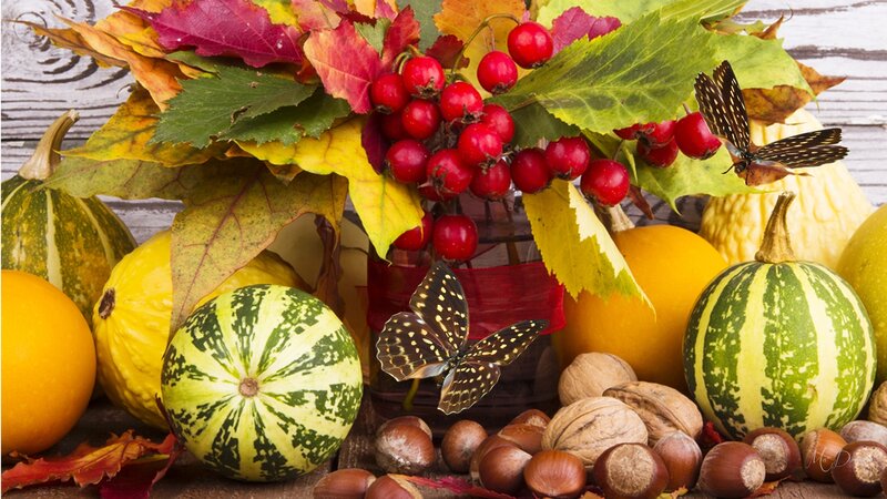 Autumn Harvest Arrangement — Green