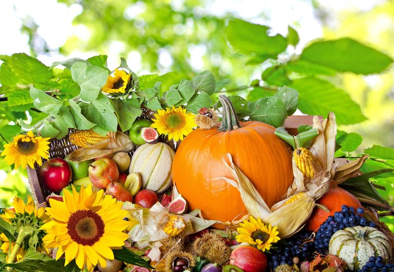 Autumn Harvest Arrangement — Orange, Abundant