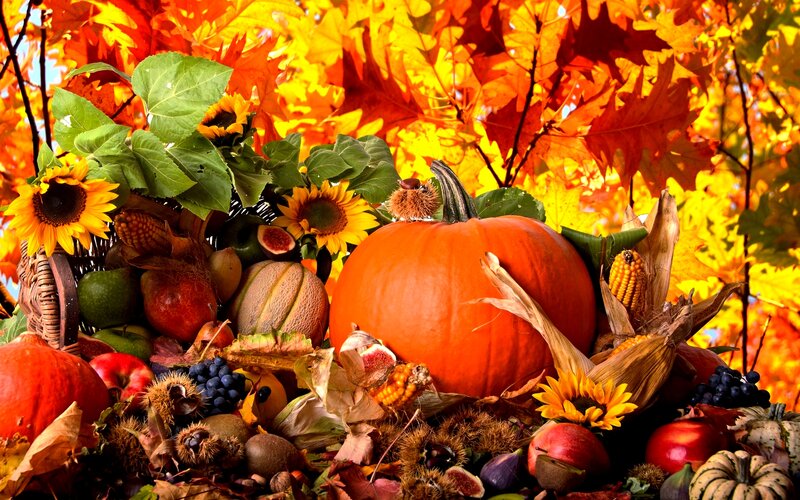 Autumn Harvest Arrangement — Orange, Festive, Photograph, Pumpkin
