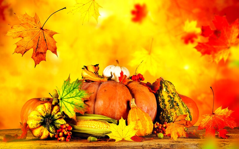 Autumn Harvest Arrangement — Orange, Festive, Photograph, Pumpkins, Corn