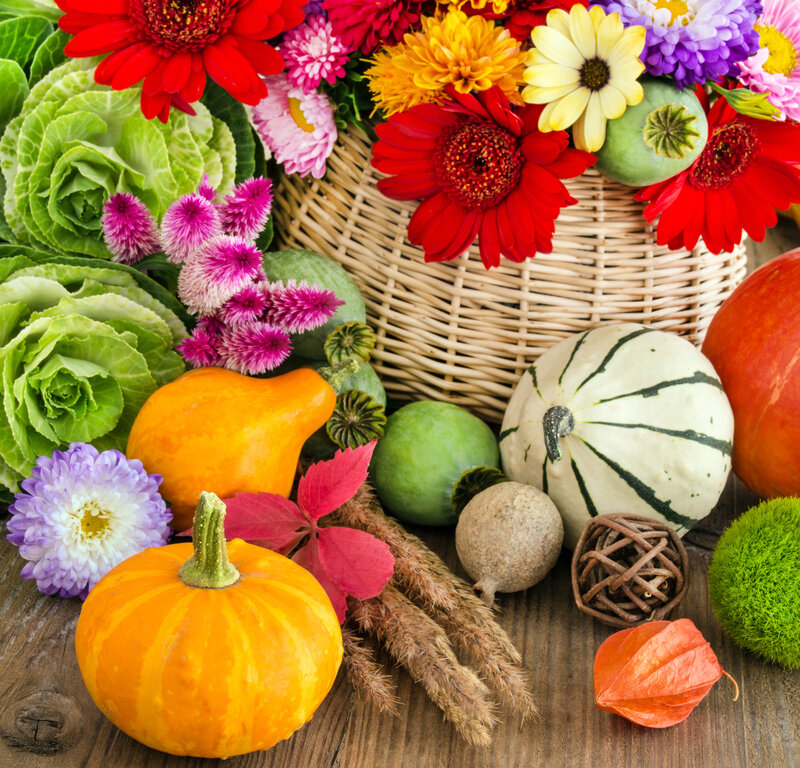 Autumn Harvest Arrangement — Orange, Festive, Photograph, Pumpkins