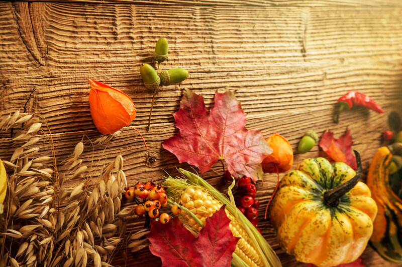 Autumn Harvest Arrangement — Orange, Photograph, Corn