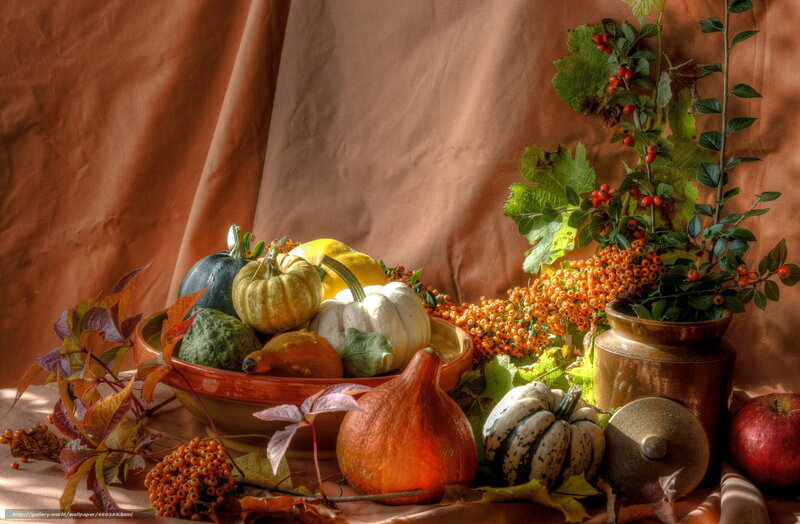 Autumn Harvest Arrangement — Orange, Serene, Photograph
