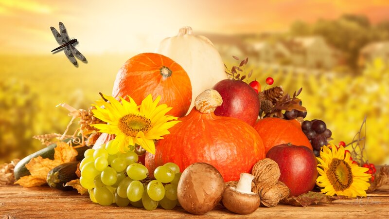 Autumn Harvest Arrangement — Orange, Serene