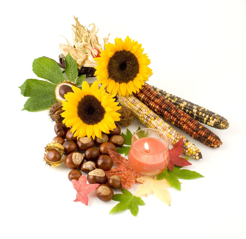 Autumn Harvest Arrangement — Yellow, Calm