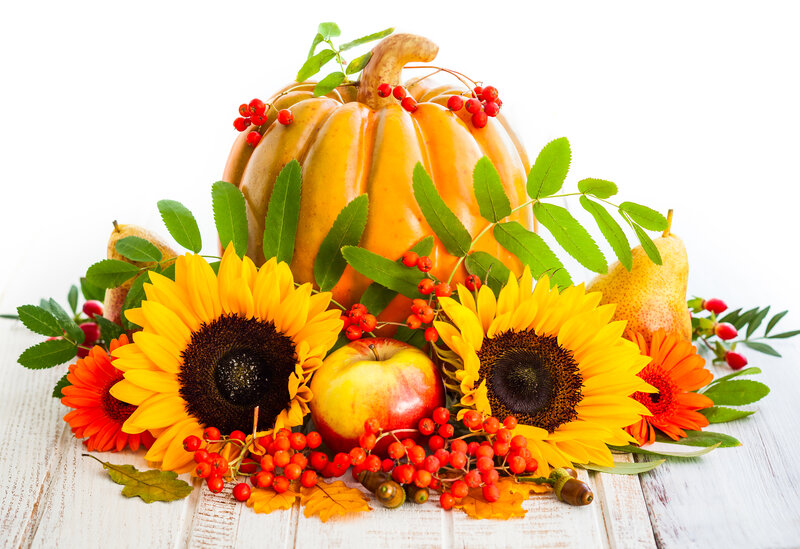 Autumn Harvest Arrangement — Yellow, Festive, Photograph, Pumpkin
