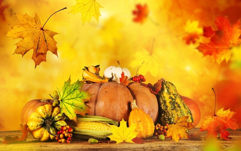 Autumn Harvest Arrangement — Yellow, Festive, Photograph, Pumpkins