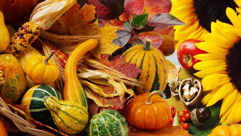 Autumn Harvest Arrangement — Yellow, Festive, Photograph